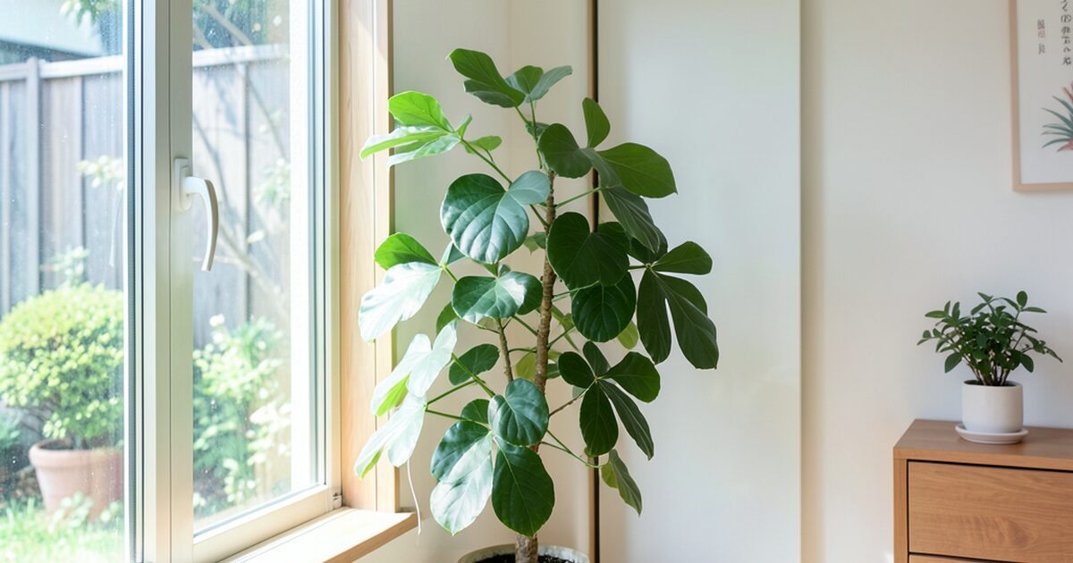 おうちでんき（Softbank）のメリット｜強みと向いている人のイメージ画像 1