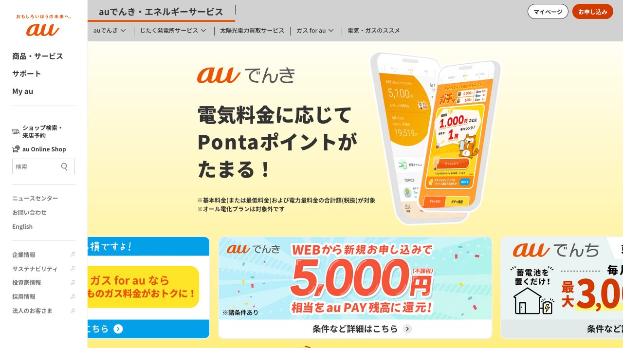 公式サイト画像